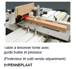 01PENNEPLAAT table à tenonner avec guide butée et presseur