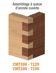 assemblages CMT300-T129 et T190