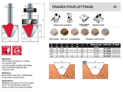 fraise pour lettrage